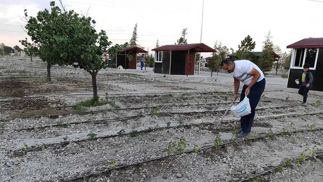 Karapınar Belediyesi'nin ilçeye kazandırdığı hobi bahçeleri ilgi çekiyor