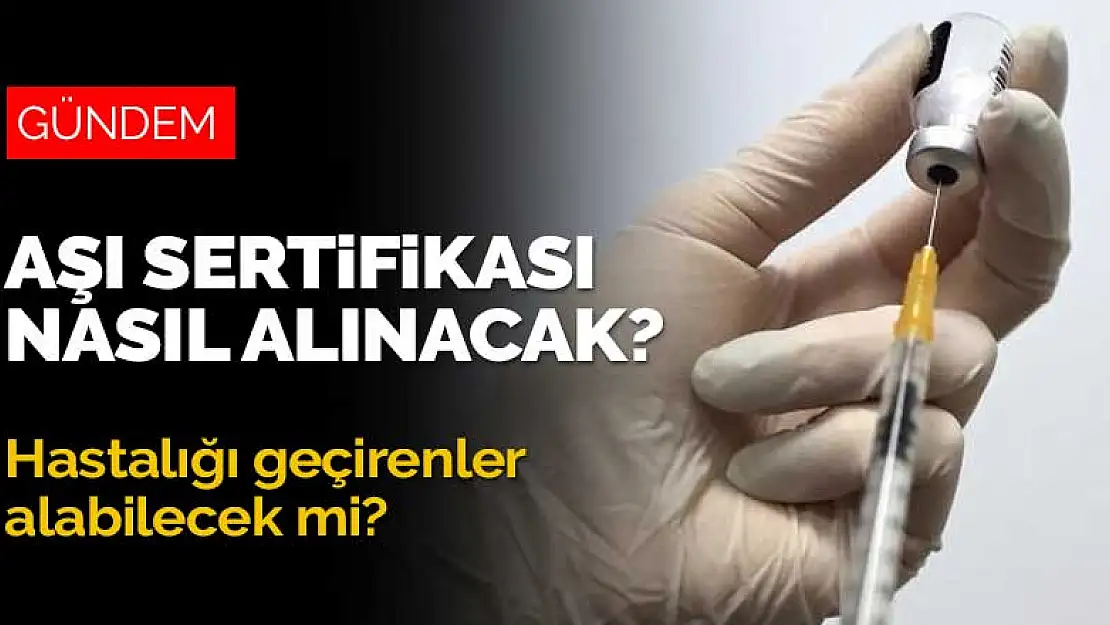 Aşı sertifikası nasıl alınacak? Hastalığı geçirenler de alabilecek mi?