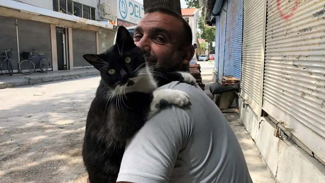 Konya'da sokakta bulunup sahiplenilen kedi her sabah sahibini kapıda karşılıyor