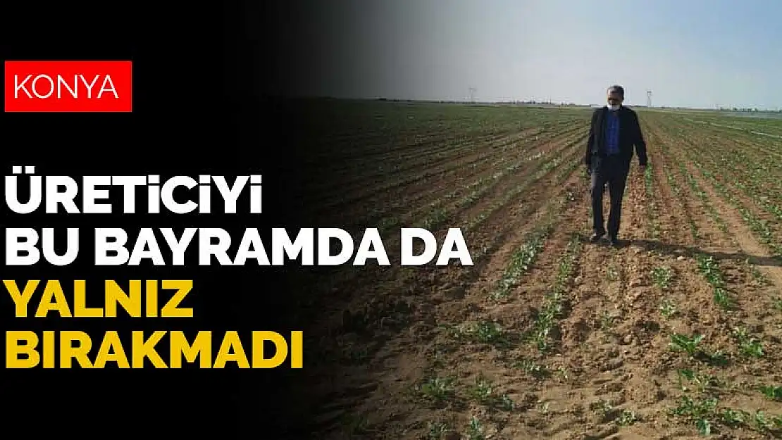 Konya Şeker üreticiyi Kurban Bayramı'nda da yalnız bırakmadı