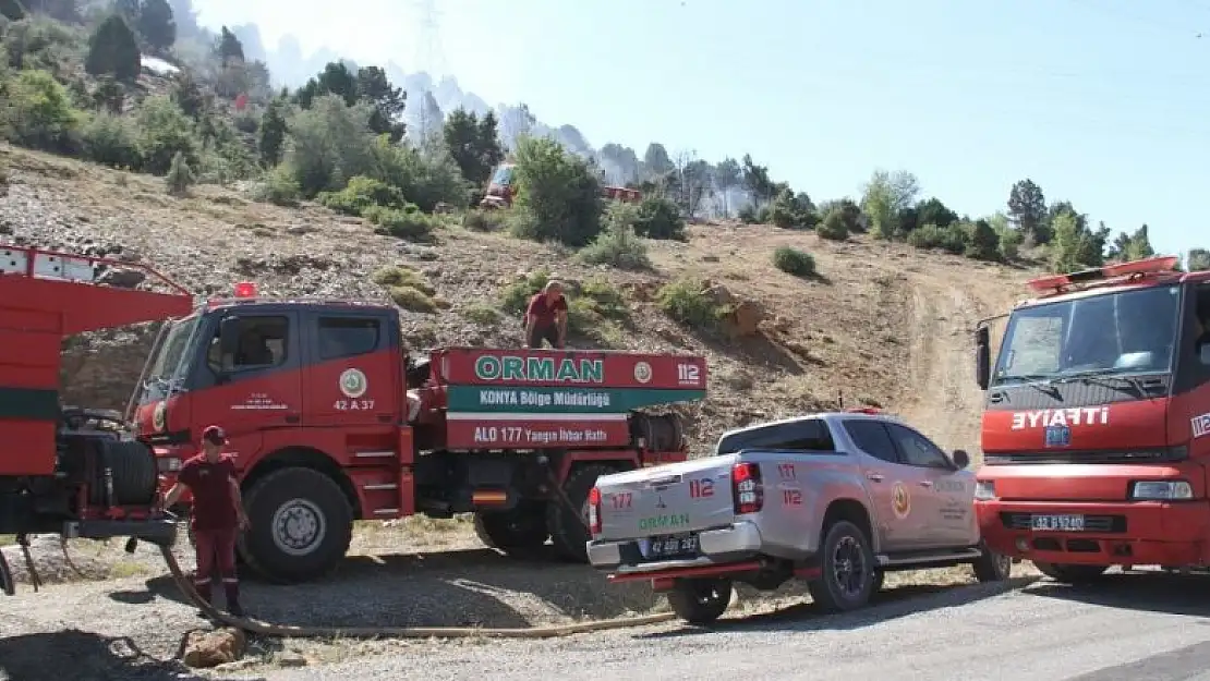 Beyşehir'de ormanlık alanda çıkan yangın kontrol altına alındı