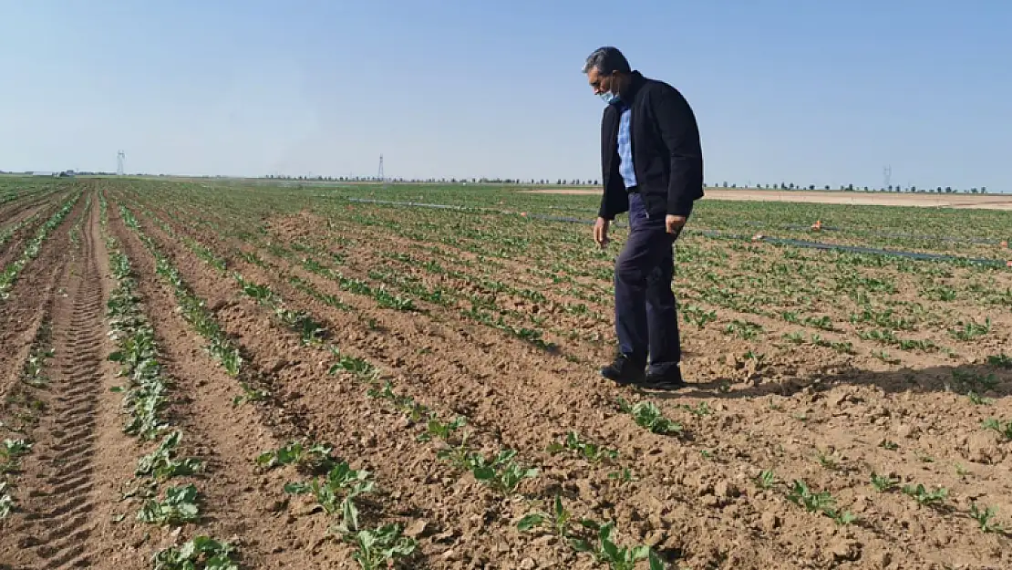 Konuk, sosyal medya hesabından kuraklığa dikkat çekti