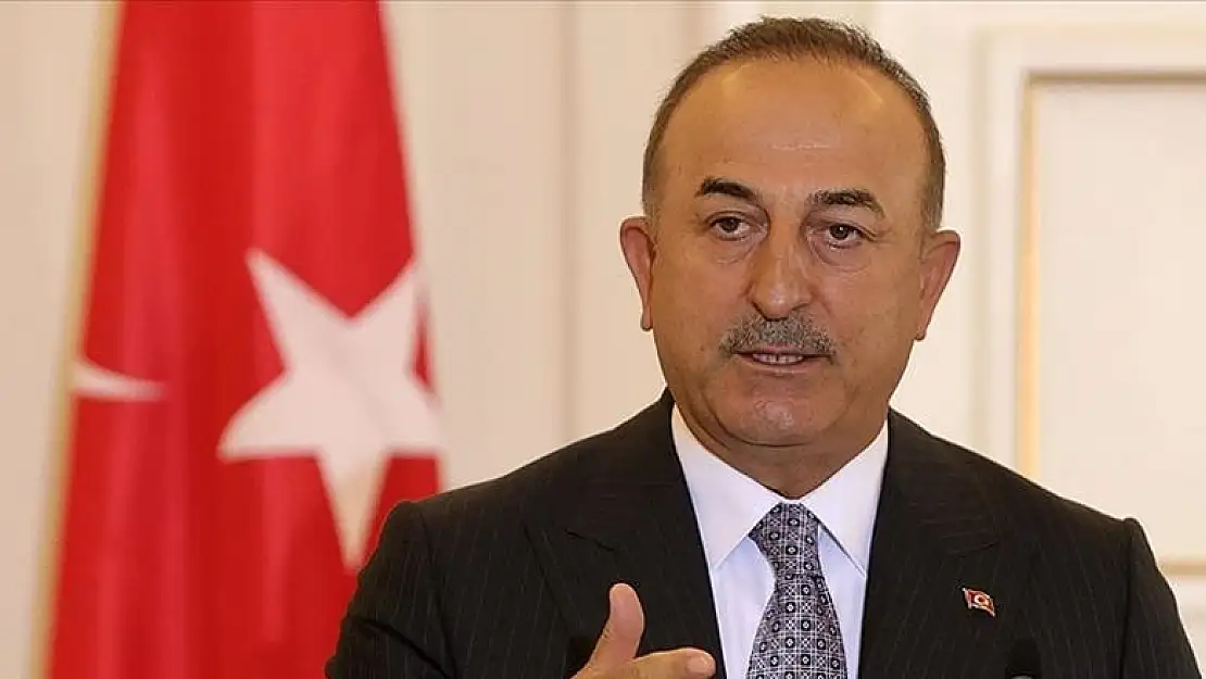 Dışişleri Bakanı Çavuşoğlu, orman yangınlarından etkilenenlere destek ödemelerinin başladığını söyledi