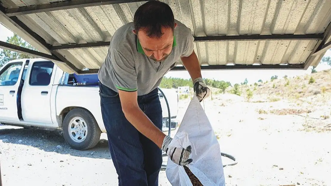 Sıcaklıklar arttı, Meram'da can dostlar unutulmadı