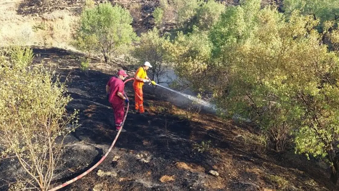 Konya'da ormanlık alanda çıkan yangın büyümeden söndürüldü