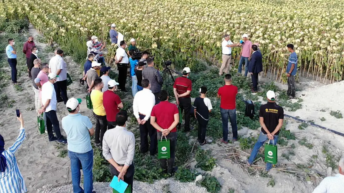 KOP'un Yenilikçi Projesi Tarla Günü Etkinliğiyle tanıtıldı