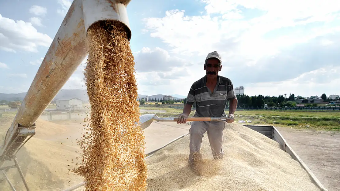 Konya'da hububat fiyatları çiftçiyi sevindirdi