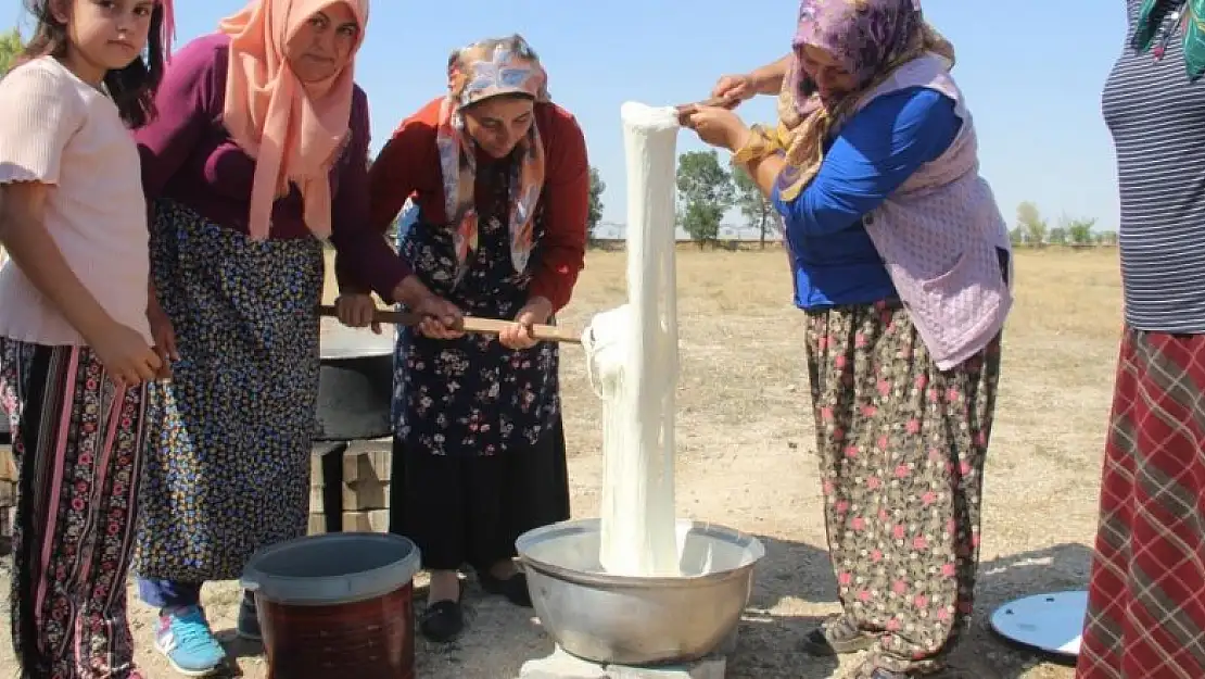 Konyalı kadınlar el ele verip 8 çeşit peynir üretti