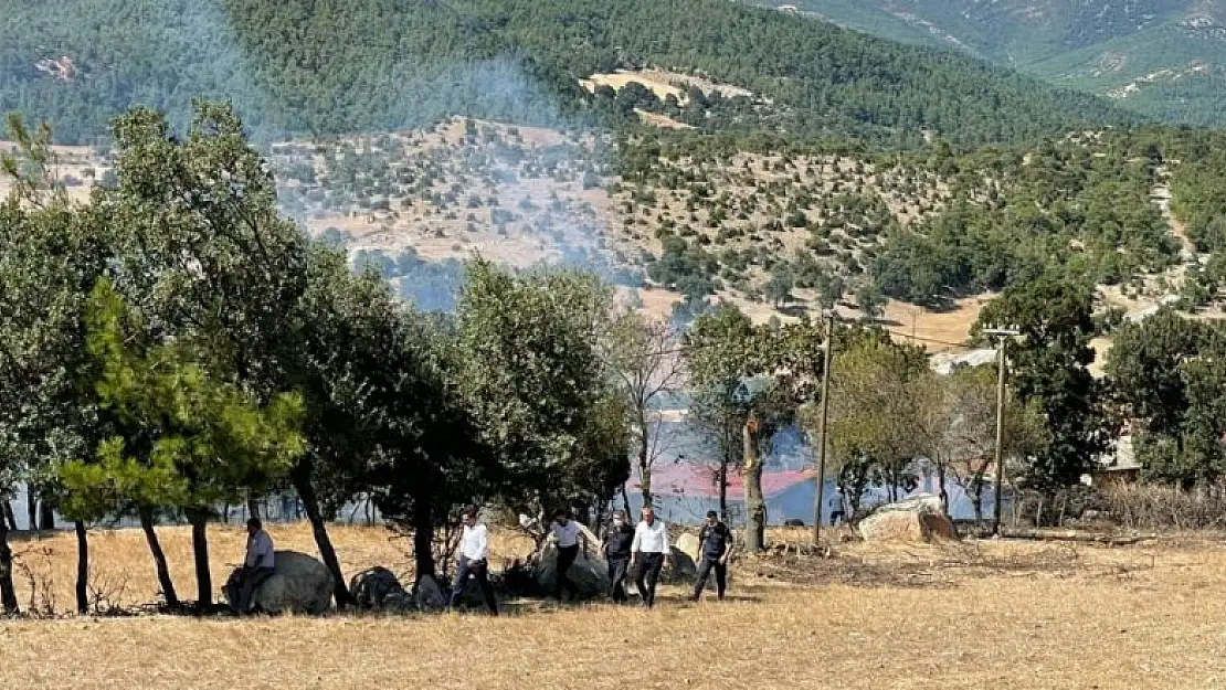 Çanakkale'de orman yangını çıktı