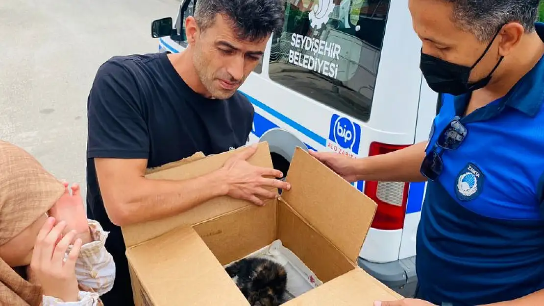 Seydişehir'de yaralı bulunan kedi tedavisi yapıldıktan sonra barınağa teslim edildi