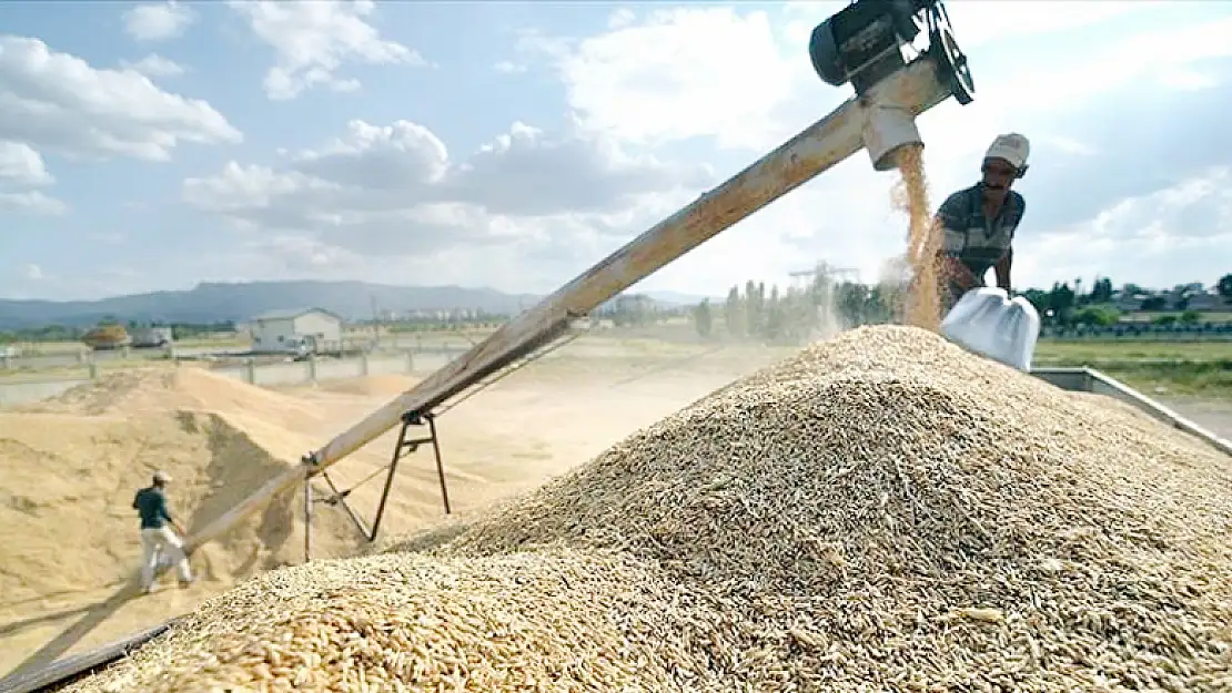 Bakan Pakdemirli: TMO eylülde 800 bin ton hububatı satışa açtı