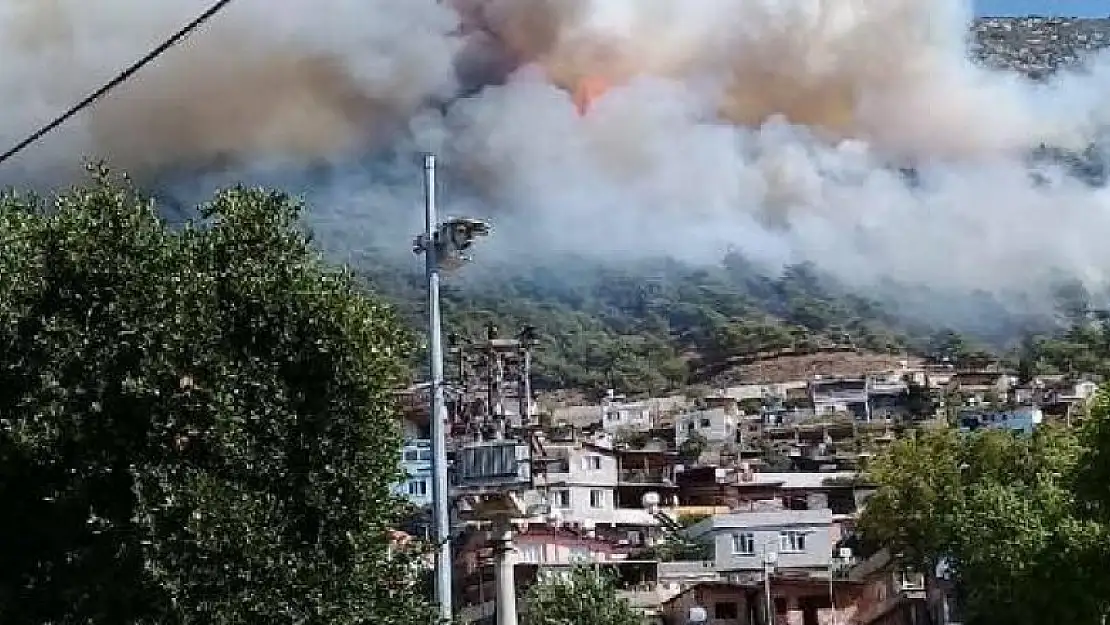 Hatay'da orman yangını