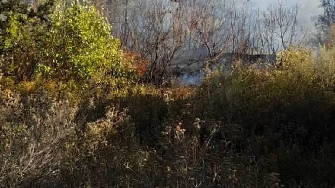 Hatay'da ikinci orman yangını