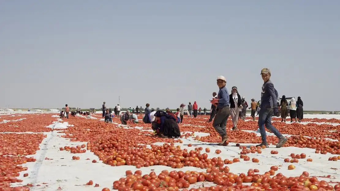 İtalyan spagettisinin sosu Konya'dan