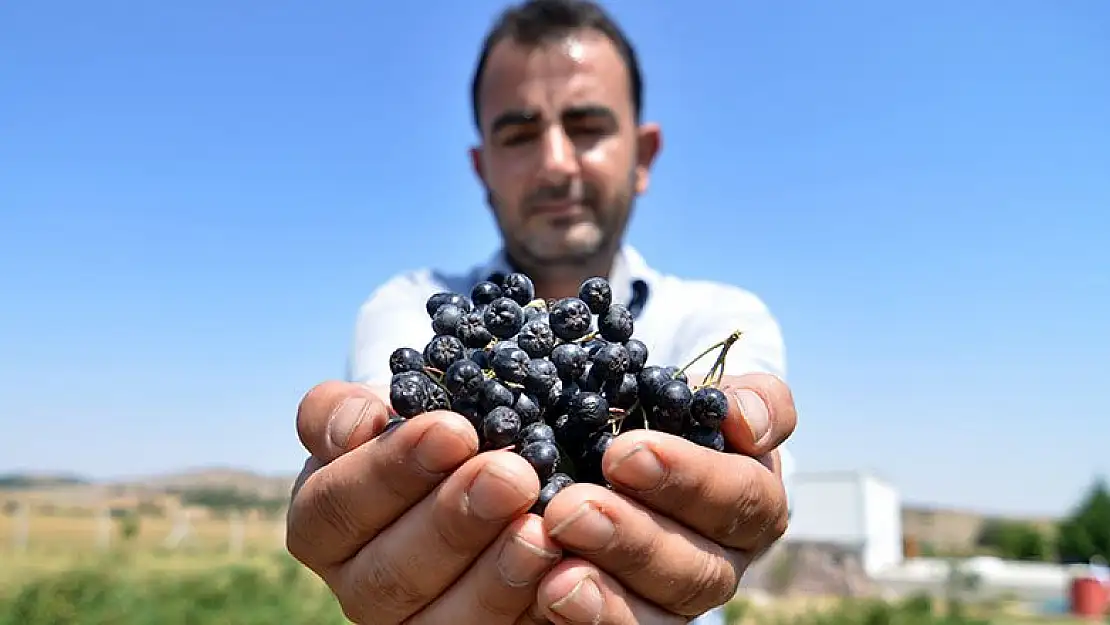 Eşinin sağlığı için yetiştirdi şimdi taleplere yetişemiyor