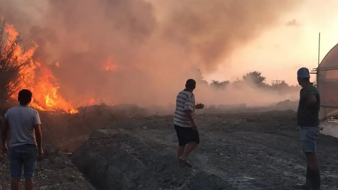 Hatay'da sazlık alanda yangın korkuttu