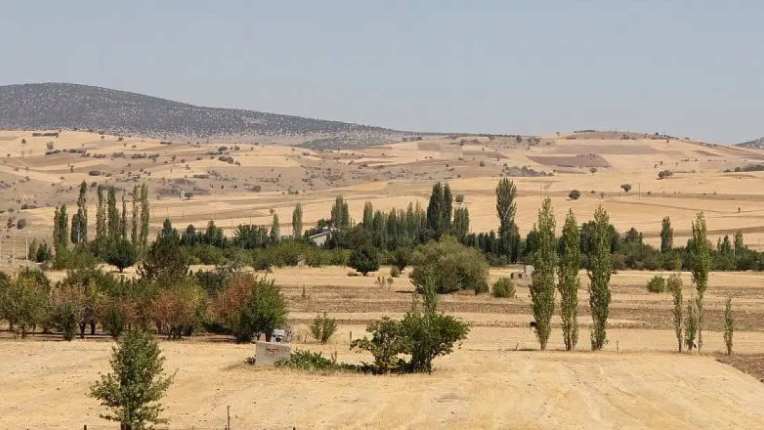 Yalıhüyük'te kuraklığa bağlı verim kaybı desteklemesi çalışmaları başladı