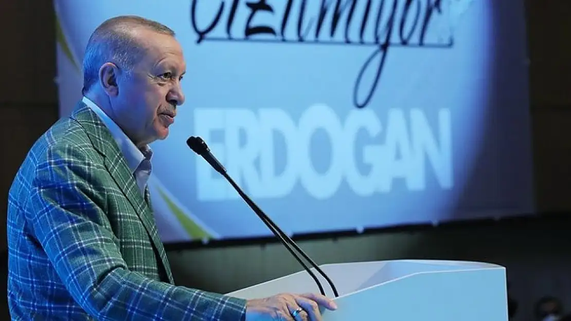 Cumhurbaşkanı Erdoğan:2023'e giden süreçte daha da pervasızlaşacaklar