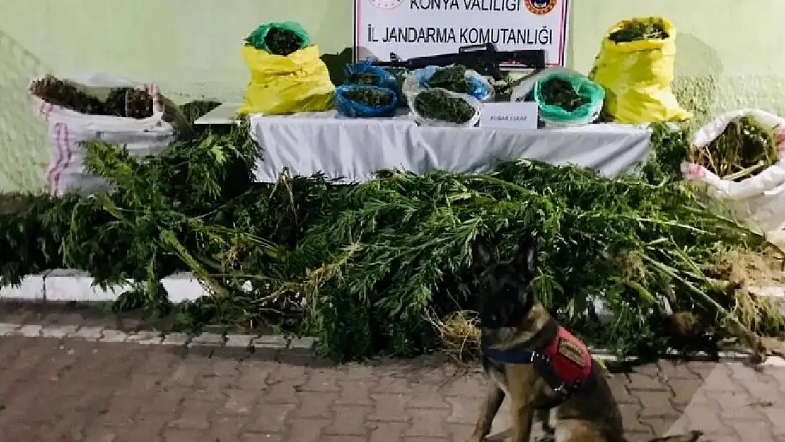 Konya'da saman yığınlarının arasında 23 kilo uyuşturucu ele geçirildi