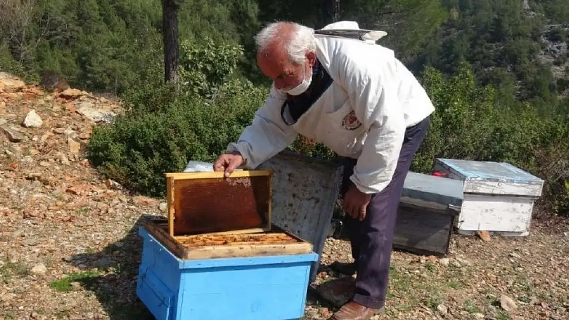 Arı kovanlarına ilaç sıkarken zehirlenip öldü