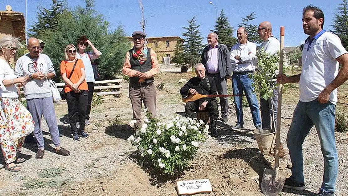 Sonsuz Şükran Köyü'nde Yunus Emre anısına çınar fidanı dikildi