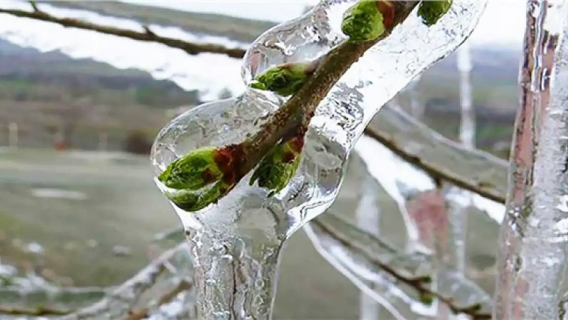 Meteorolojiden Konya'ya zirai don uyarısı