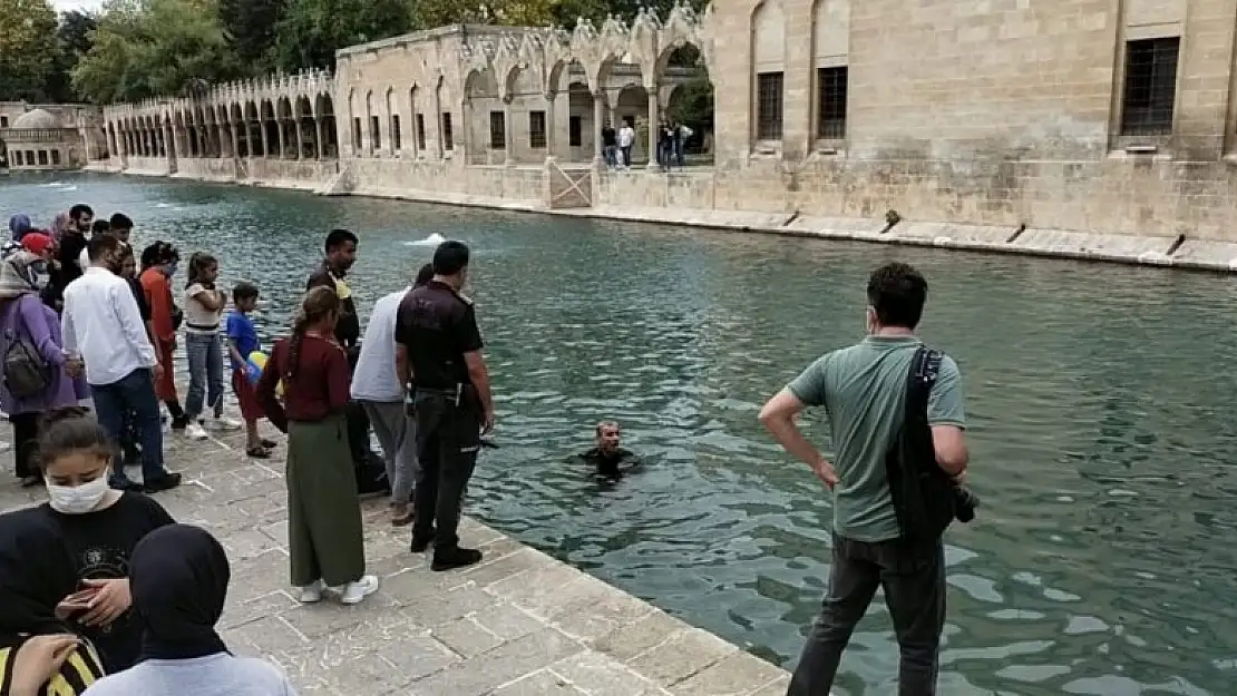 Herkesin gözü ününde Balıklıgöl'e atlayıp yüzdü