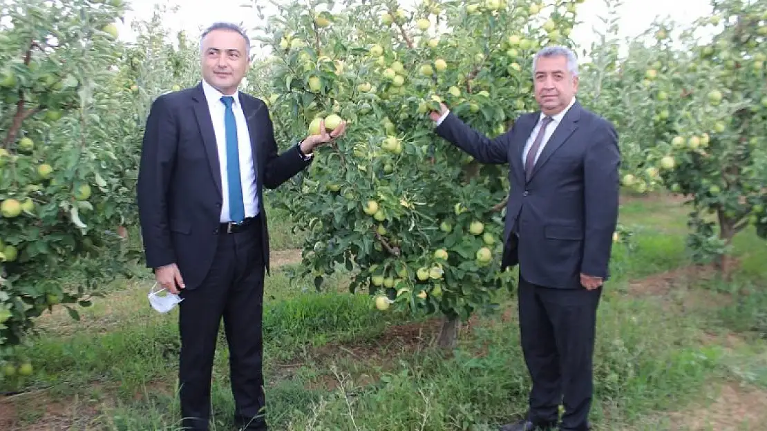 Karaman Elma Üreticisi EKÜY'ü benimsedi