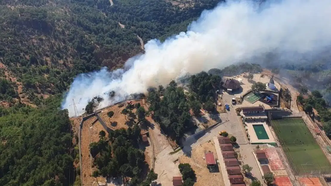 İzmir'de orman yangını başladı