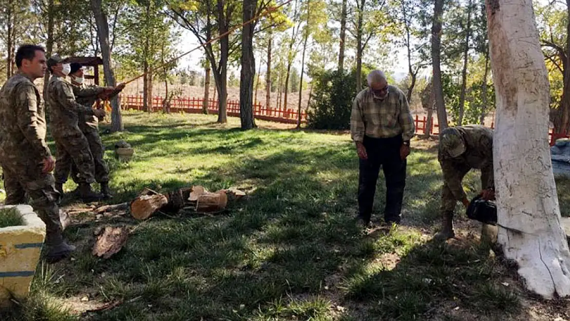 Karapınar'da ağaç kesme ve boylama kursu