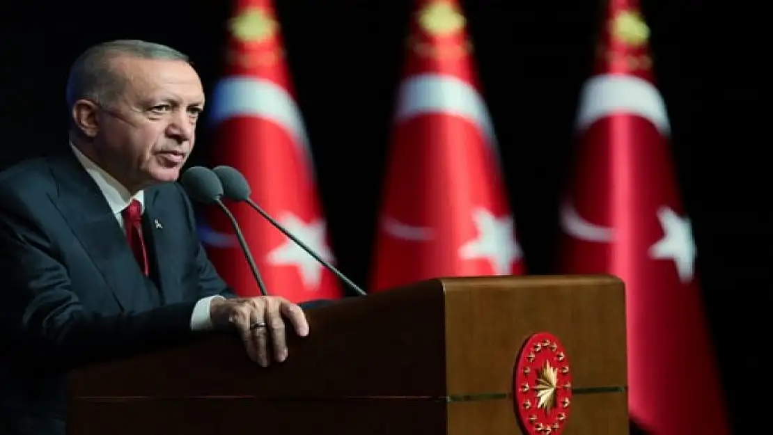 Erdoğan'dan dünyaya çağrı: Elinizi taşın altına koyun!