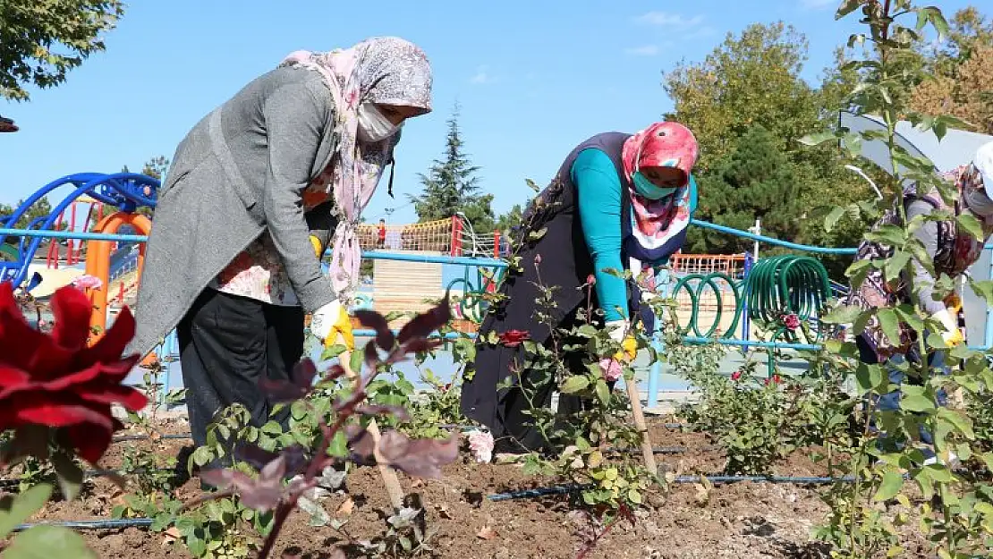 Beyşehir'de park ve bahçelere kadın eli değdi