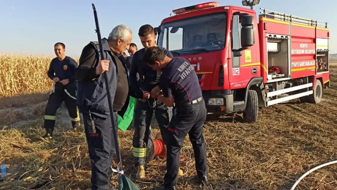 Konya'da obruğa düşen tilki kurtarıldı