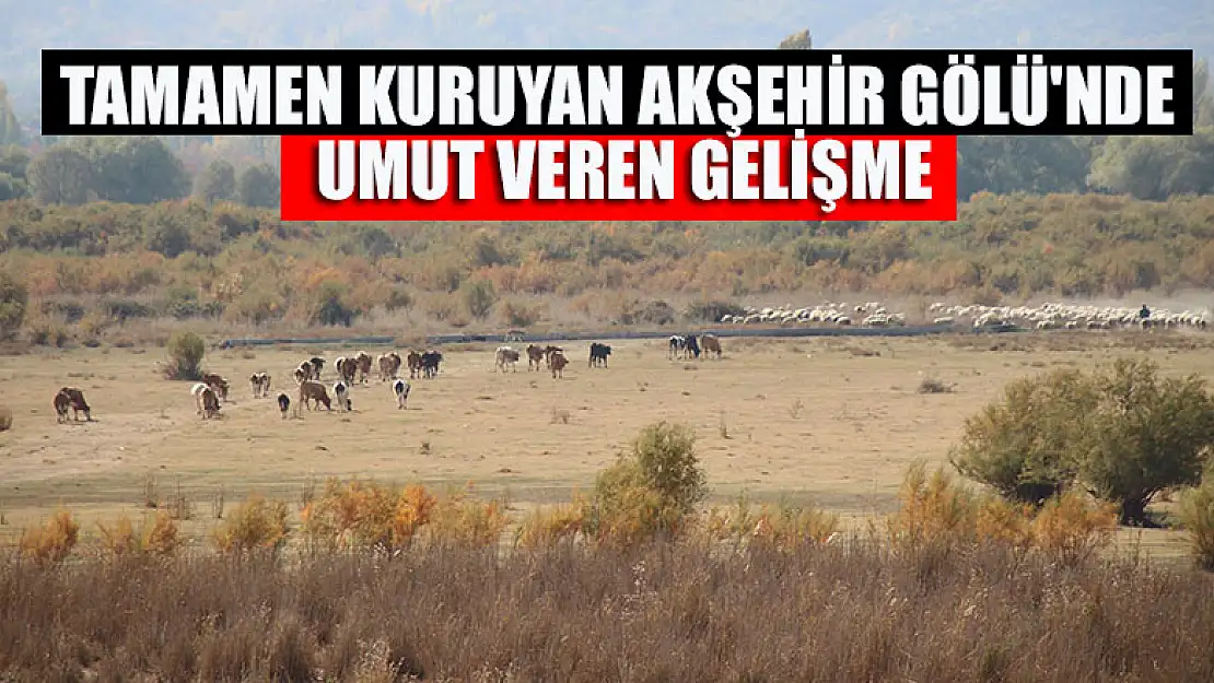 Tamamen kuruyan Akşehir Gölü'nde umut veren gelişme