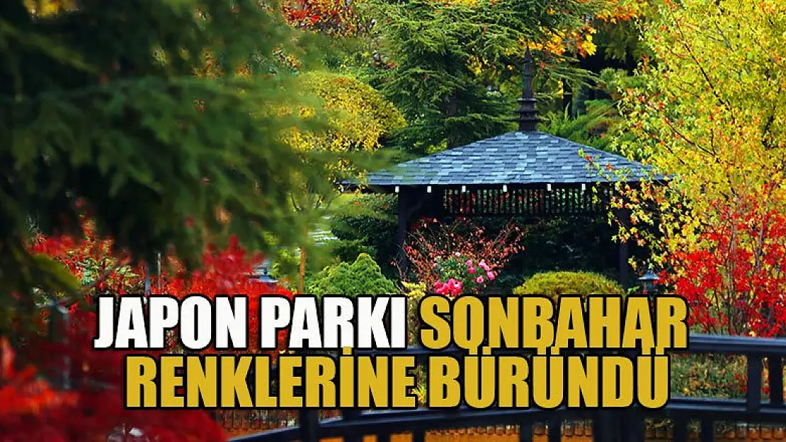 Japon Parkı sonbahar renklerine büründü