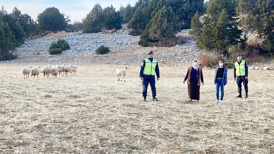 Kayıp koyunları jandarma drone ile buldu