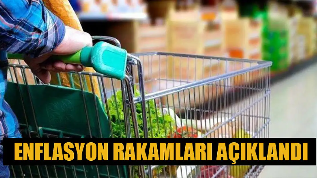 Enflasyon rakamları açıklandı