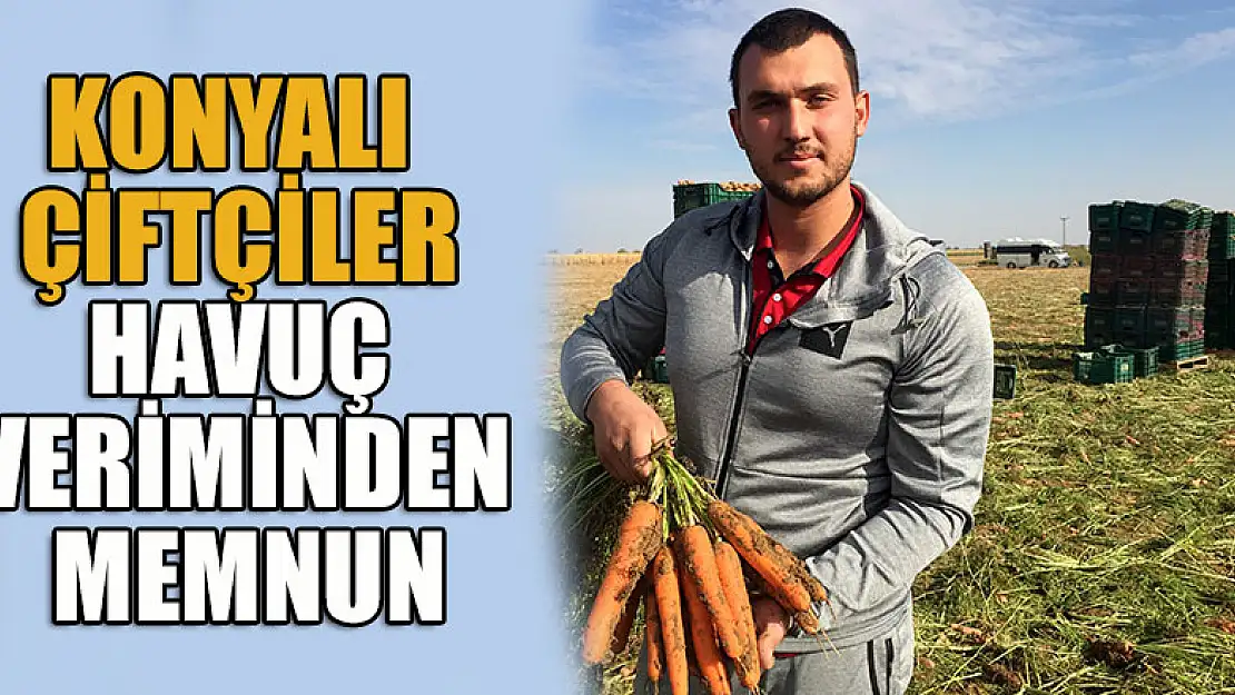 Konyalı çiftçiler havuç veriminden memnun