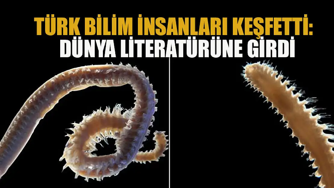 Türk bilim insanları keşfetti: Dünya literatürüne girdi