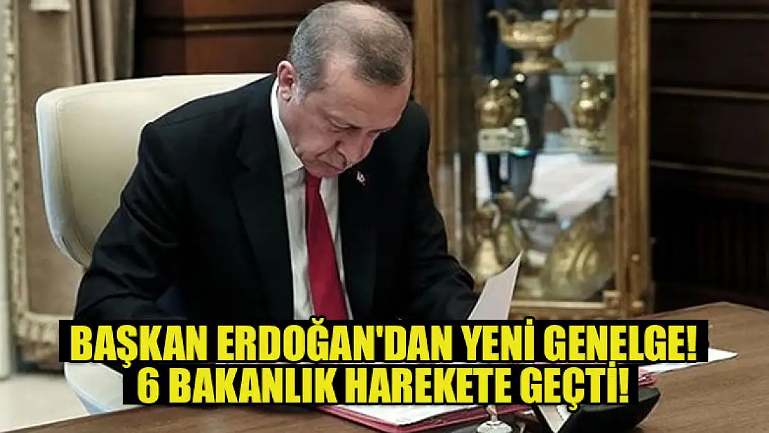 Başkan Erdoğan'dan yeni genelge! 6 Bakanlık harekete geçti...