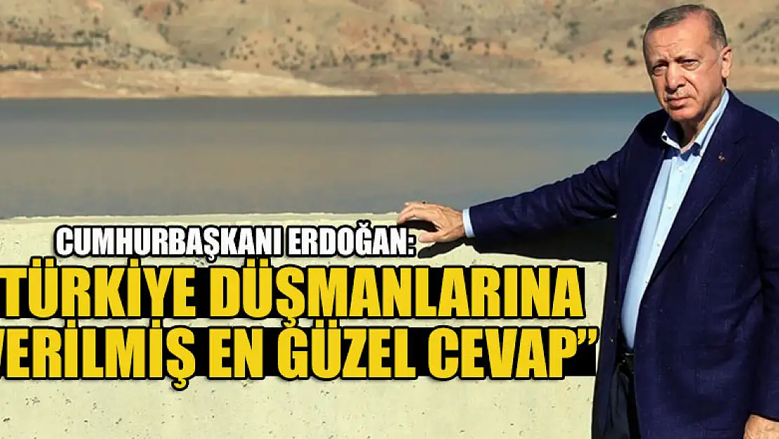 Cumhurbaşkanı Erdoğan: Ilısu Barajı, Türkiye düşmanlarına verilmiş en güzel cevap