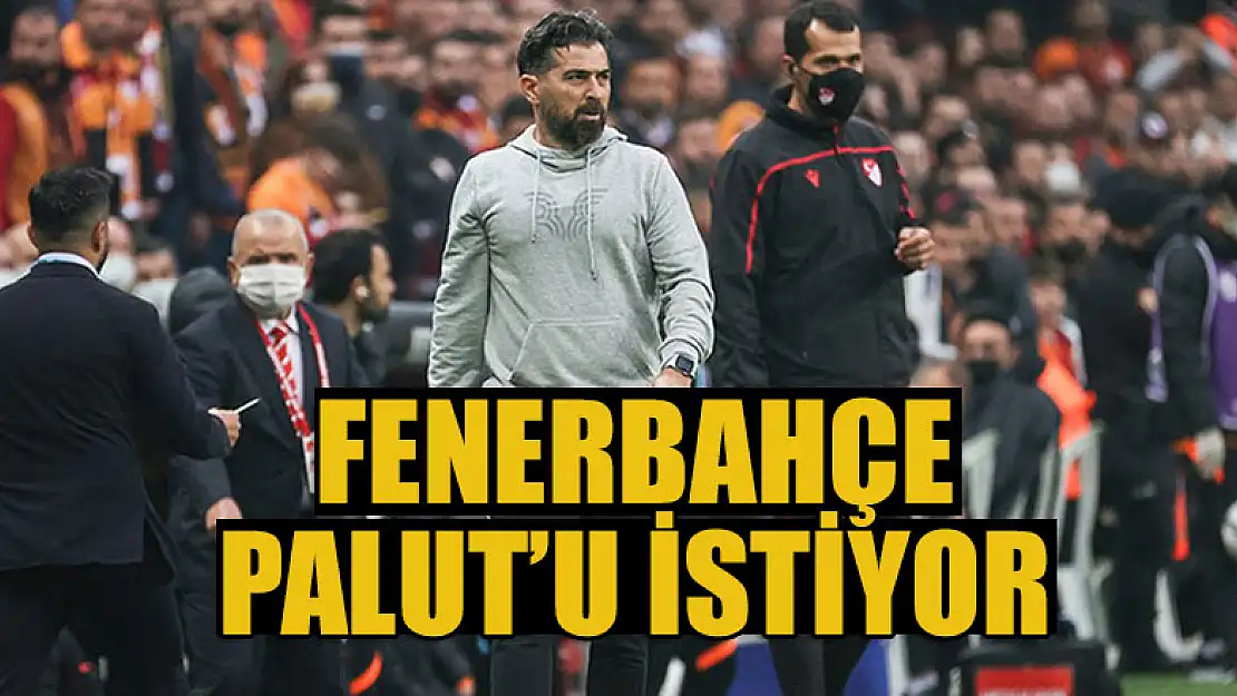 Fenerbahçe Palut'u istiyor