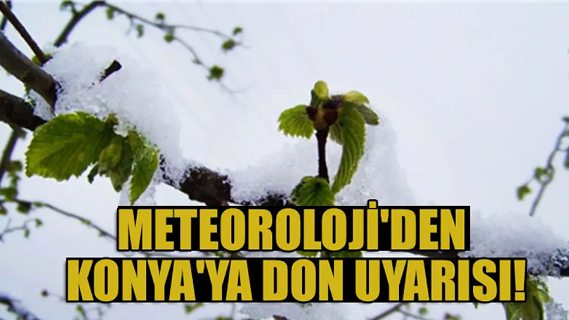 Meteoroloji'den Konya'ya don uyarısı!