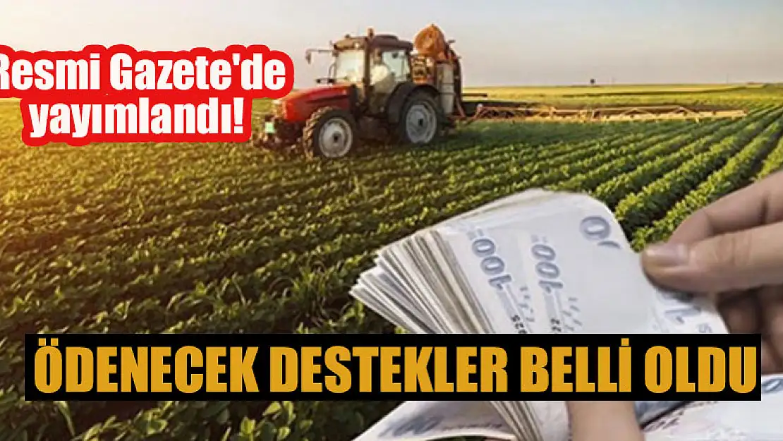 Resmi Gazete'de yayımlandı! Ödenecek destekler belli oldu