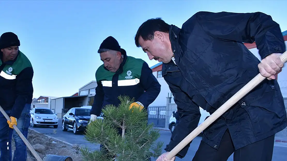 Başkan Hasan Kılca, Milli Ağaçlandırma Günü'nde fidan dikti