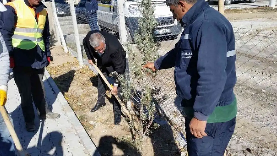 Kulu'da Milli Ağaçlandırma Günü'nde fidanlar toprakla buluştu