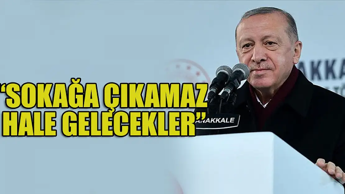 Cumhurbaşkanı Erdoğan'dan sert açıklama: Sokağa çıkamaz hale gelecekler