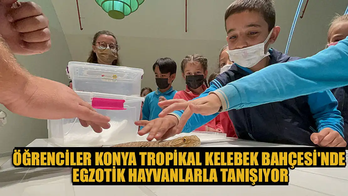 Öğrenciler Konya Tropikal Kelebek Bahçesi'nde egzotik hayvanlarla tanışıyor