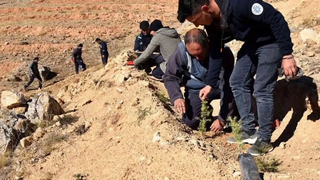 Selçuklu'da doğaya 17 bin yeni fidan kazandırıldı