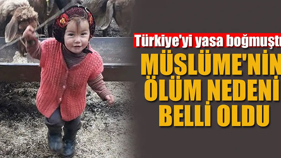 Türkiye'yi yasa boğmuştu: Küçük Müslüme'nin ölüm nedeni belli oldu